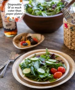 Natural Life Palm Leaf Plate Set Of 12