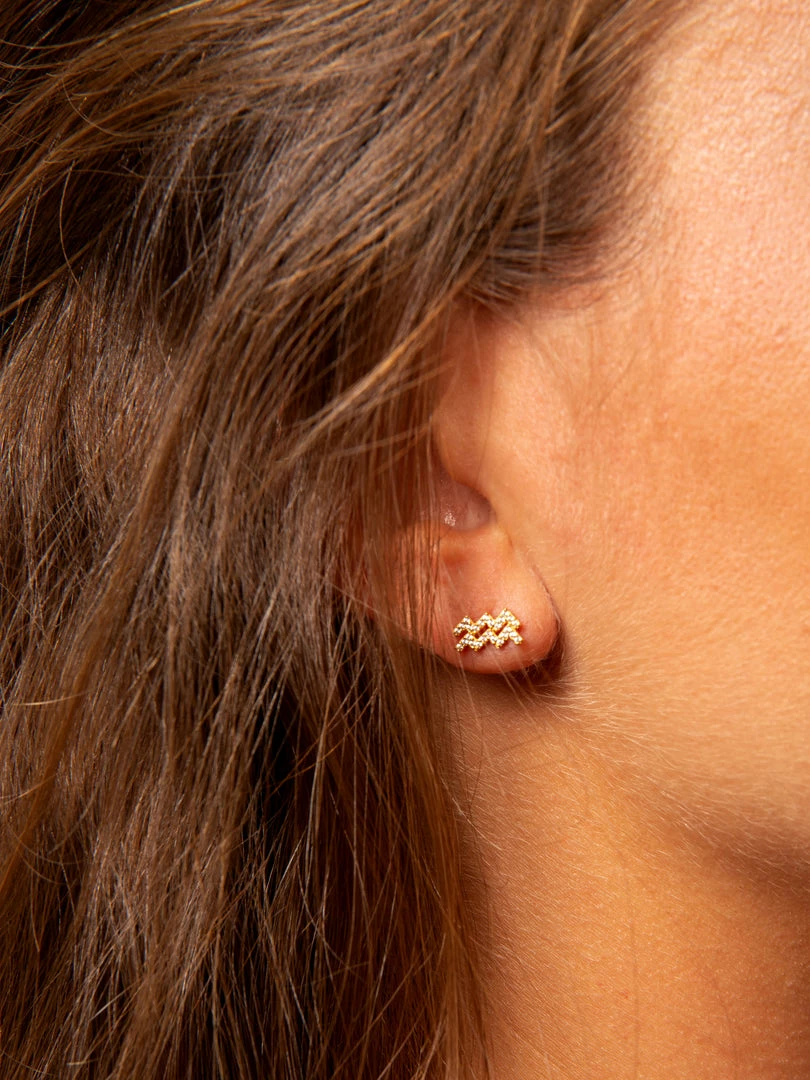 Natural Life Zodiac Perfect Tiny Studs 4 Natural Life Zodiac Perfect Tiny Studs