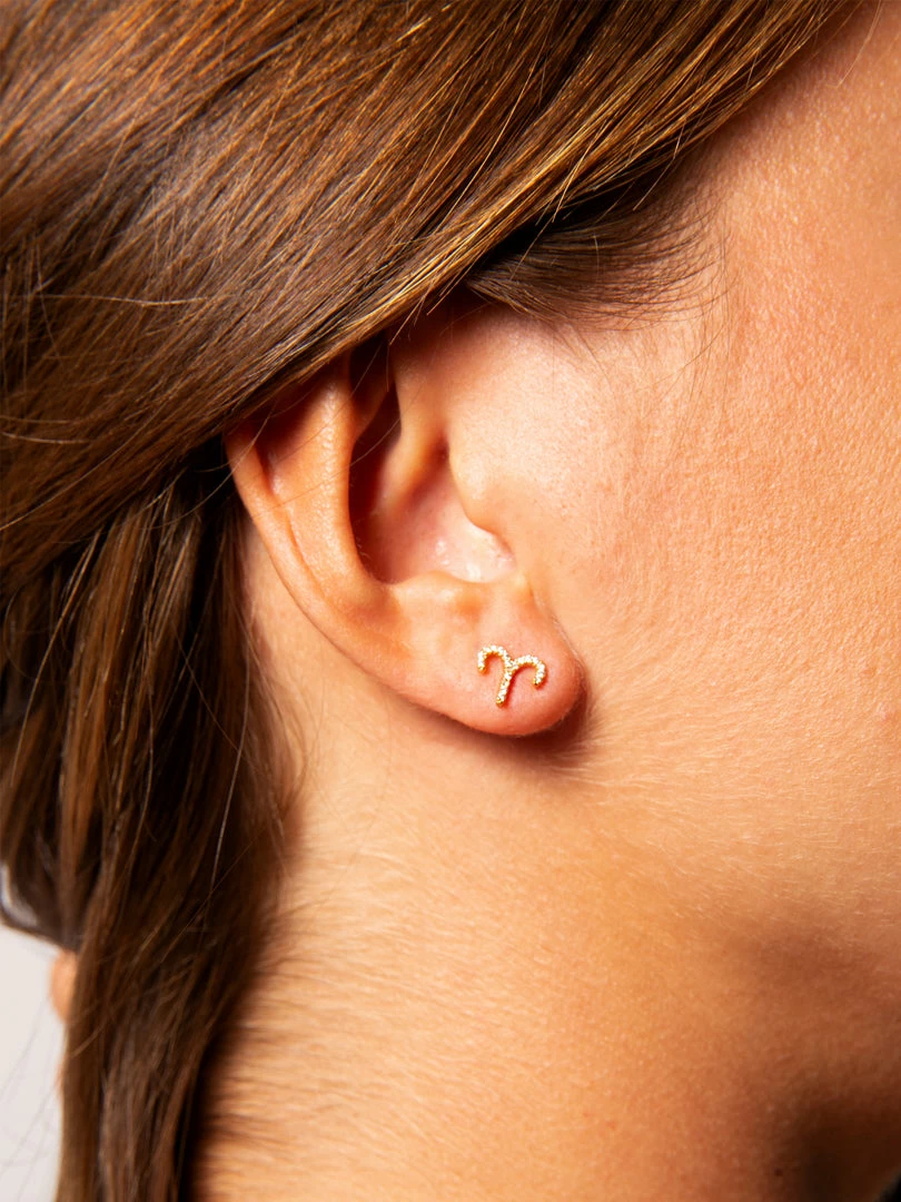 Natural Life Zodiac Perfect Tiny Studs 11 Natural Life Zodiac Perfect Tiny Studs