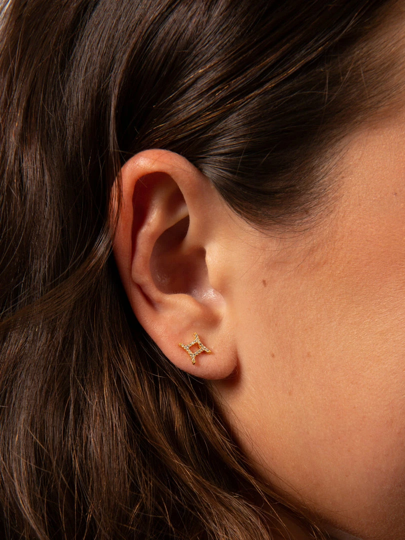 Natural Life Zodiac Perfect Tiny Studs 17 Natural Life Zodiac Perfect Tiny Studs