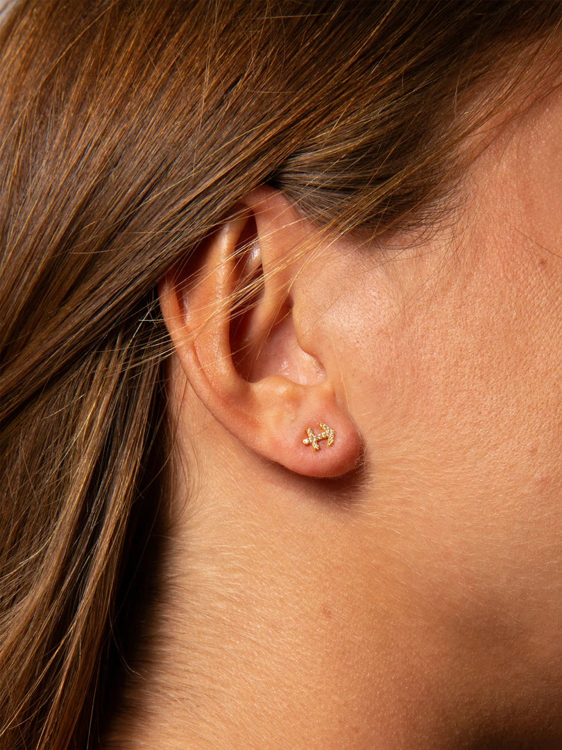 Natural Life Zodiac Perfect Tiny Studs 35 Natural Life Zodiac Perfect Tiny Studs