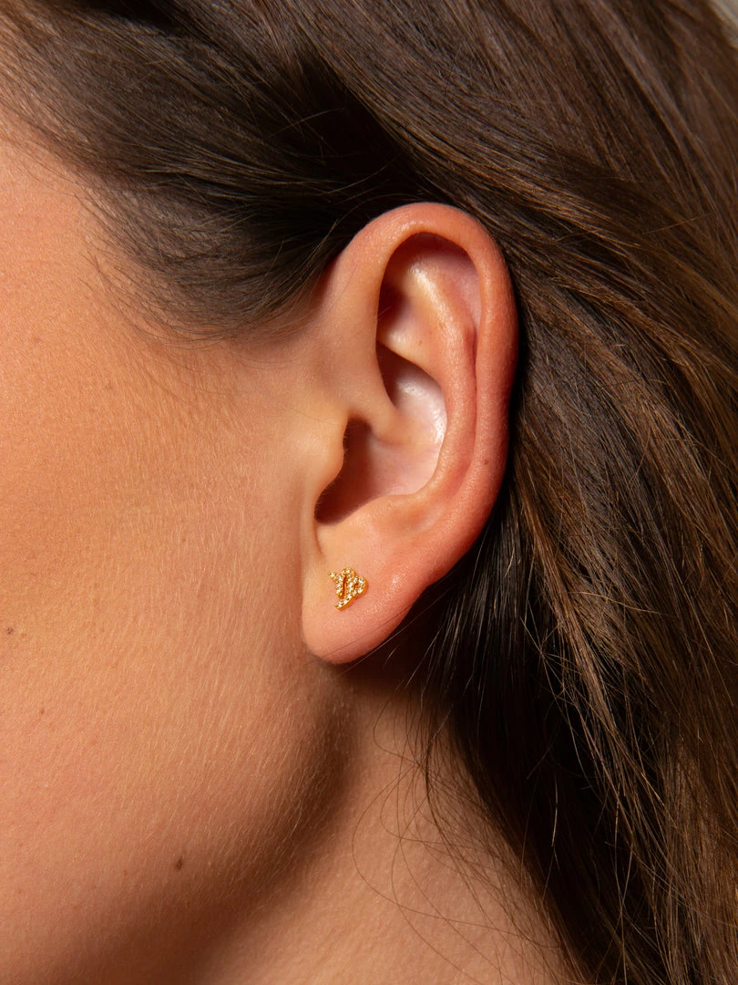 Natural Life Zodiac Perfect Tiny Studs 38 Natural Life Zodiac Perfect Tiny Studs