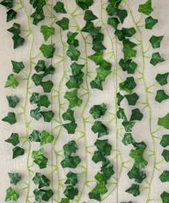 Natural Life Set Of 5 Vine Garland Back To Campus