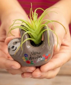 Natural Life FUN & GIFTS Tiny Faux Succulents