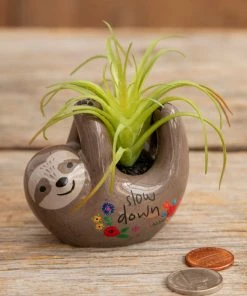 Natural Life FUN & GIFTS Tiny Faux Succulents