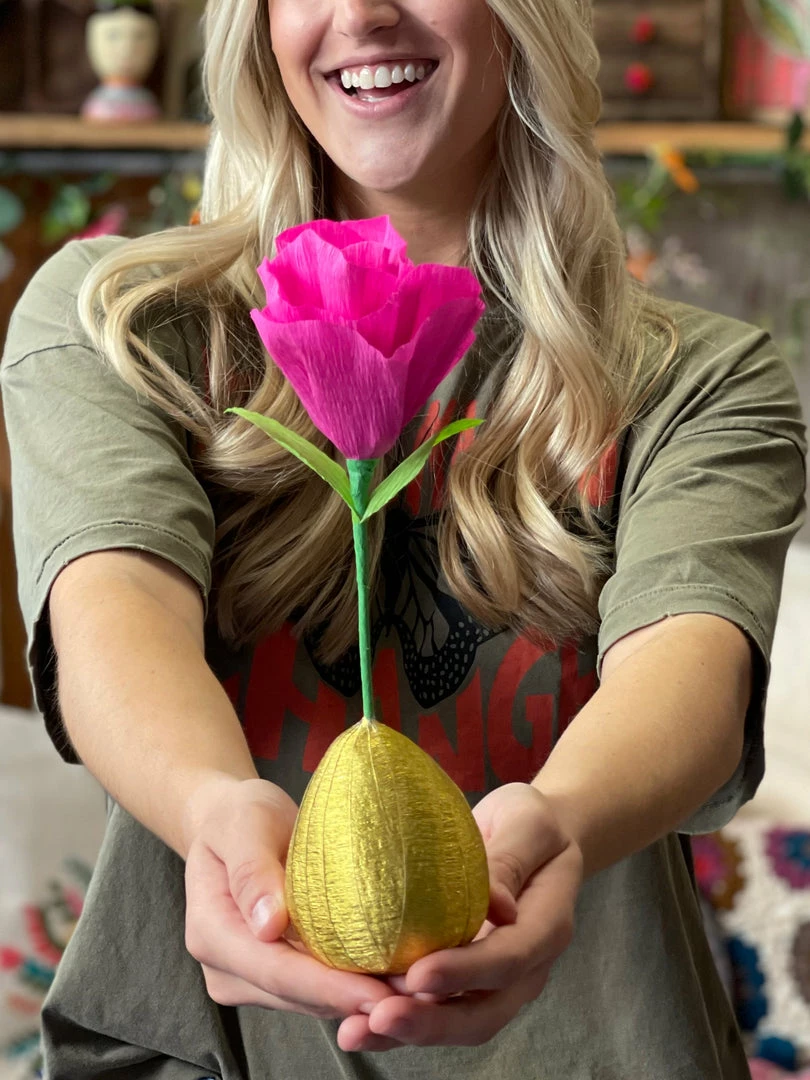 Natural Life Surprise Ball 16 Natural Life Surprise Ball