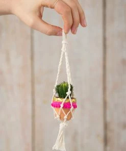 Natural Life Macrame Faux Succulent Car Charm