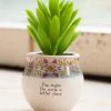 Natural Life Mini Faux Succulent FUN & GIFTS