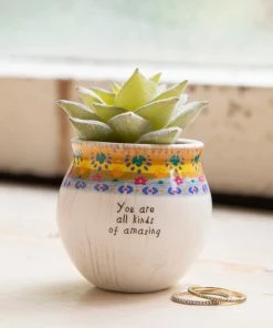 Natural Life Mini Faux Succulent FUN & GIFTS
