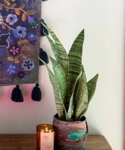 Natural Life Back In Stock Small Potted Faux Plant