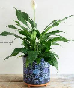 Natural Life Large Artisan Planter 7 Natural Life Large Artisan Planter