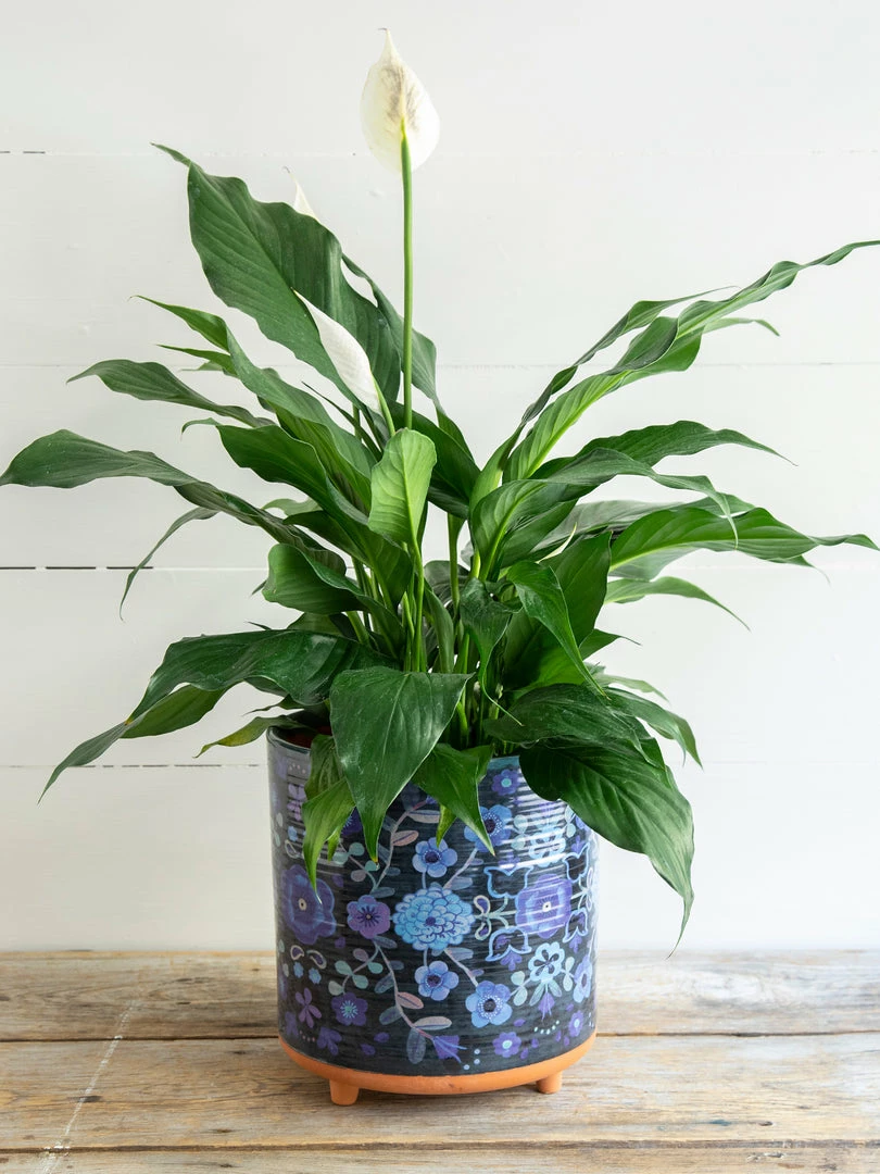 Natural Life Large Artisan Planter 5 Natural Life Large Artisan Planter