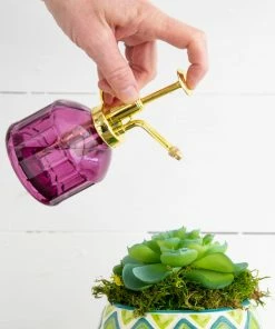 Natural Life Plant Mister