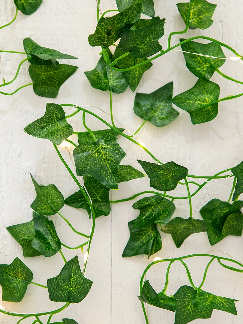 Natural Life Ivy Fairy String Lights Back To Campus 4 Natural Life Ivy Fairy String Lights Back To Campus