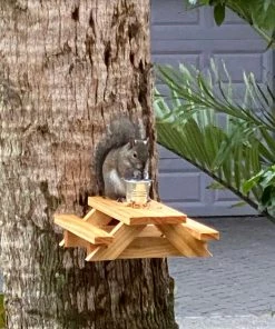 Natural Life Beach & Outdoors Squirrel Picnic Table Feeder