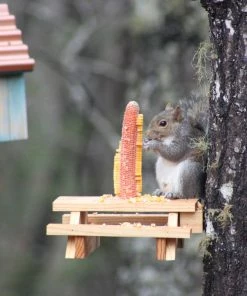 Natural Life Beach & Outdoors Squirrel Picnic Table Feeder